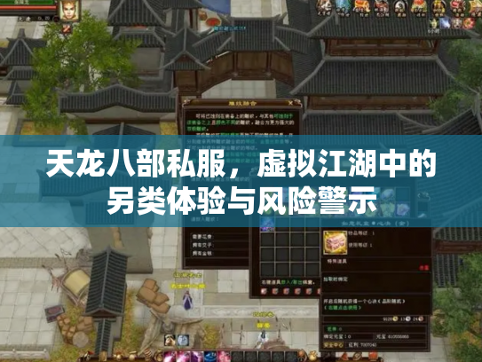 天龙八部私服，虚拟江湖中的另类体验与风险警示
