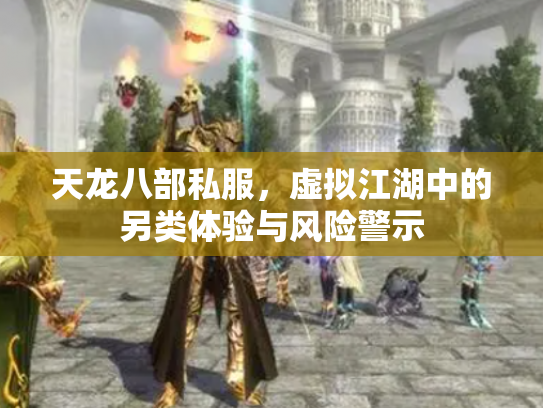 天龙八部私服，虚拟江湖中的另类体验与风险警示
