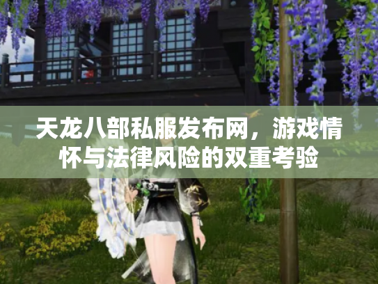 天龙八部私服发布网，游戏情怀与法律风险的双重考验