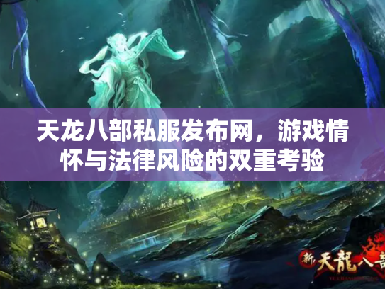 天龙八部私服发布网，游戏情怀与法律风险的双重考验