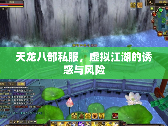 天龙八部私服，虚拟江湖的诱惑与风险