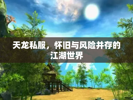 天龙私服，怀旧与风险并存的江湖世界