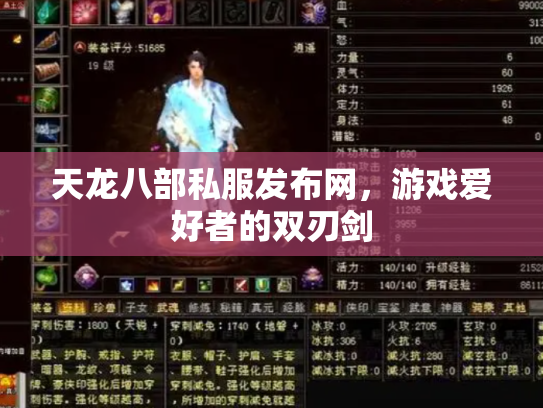 天龙八部私服发布网，游戏爱好者的双刃剑