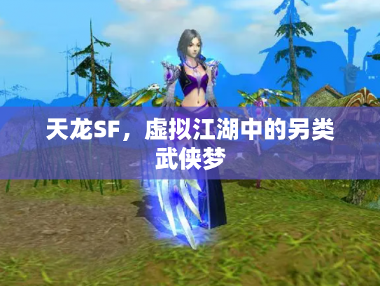 天龙SF，虚拟江湖中的另类武侠梦
