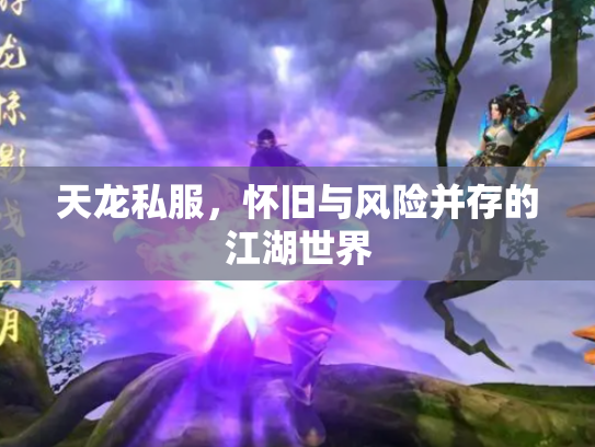 天龙私服，怀旧与风险并存的江湖世界