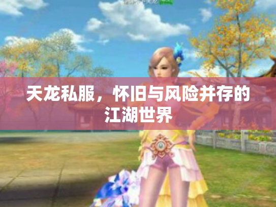 天龙私服，怀旧与风险并存的江湖世界