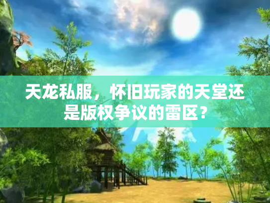 天龙私服，怀旧玩家的天堂还是版权争议的雷区？