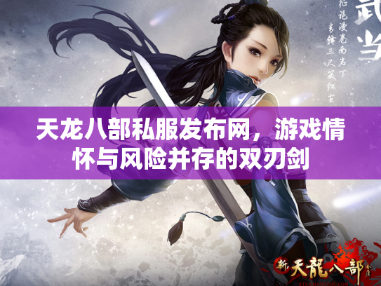 天龙八部私服发布网，游戏情怀与风险并存的双刃剑