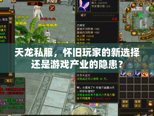 天龙私服，怀旧玩家的新选择还是游戏产业的隐患？