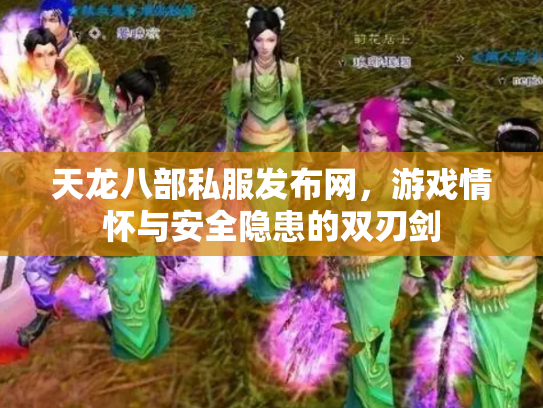天龙八部私服发布网，游戏情怀与安全隐患的双刃剑