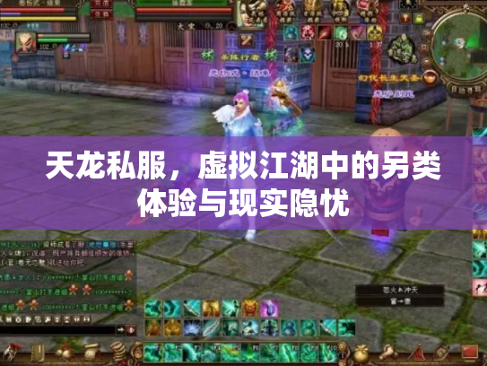 天龙私服，虚拟江湖中的另类体验与现实隐忧