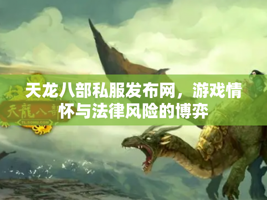 天龙八部私服发布网，游戏情怀与法律风险的博弈