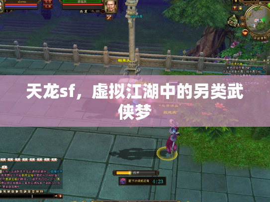 天龙sf，虚拟江湖中的另类武侠梦