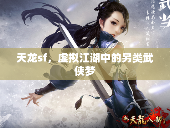 天龙sf，虚拟江湖中的另类武侠梦