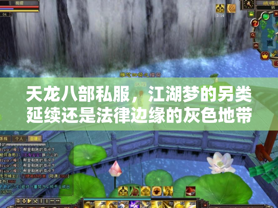 天龙八部私服，江湖梦的另类延续还是法律边缘的灰色地带？