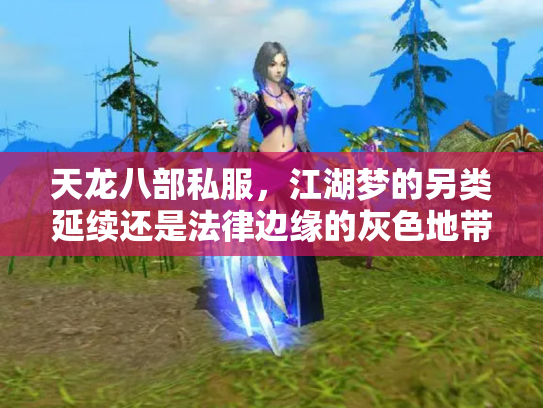 天龙八部私服，江湖梦的另类延续还是法律边缘的灰色地带？