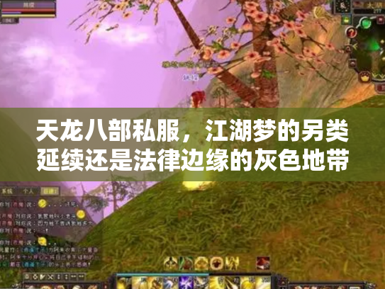 天龙八部私服，江湖梦的另类延续还是法律边缘的灰色地带？
