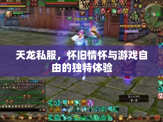 天龙私服，怀旧情怀与游戏自由的独特体验