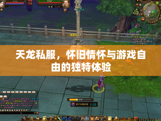 天龙私服，怀旧情怀与游戏自由的独特体验