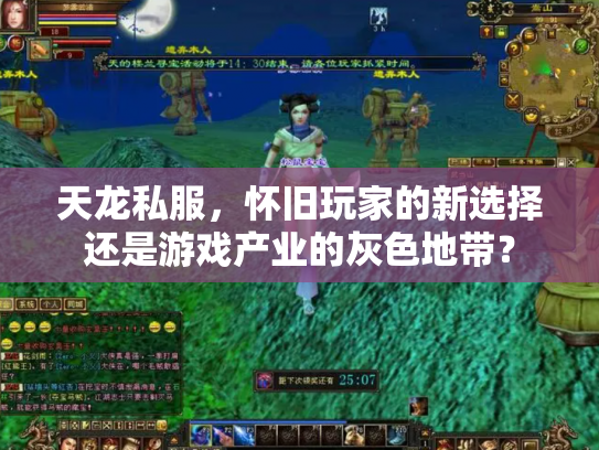 天龙私服,怀旧玩家的新选择还是游戏产业的灰色地带? 天龙私服,怀旧玩家的新选择还是游戏产业的灰色地带?