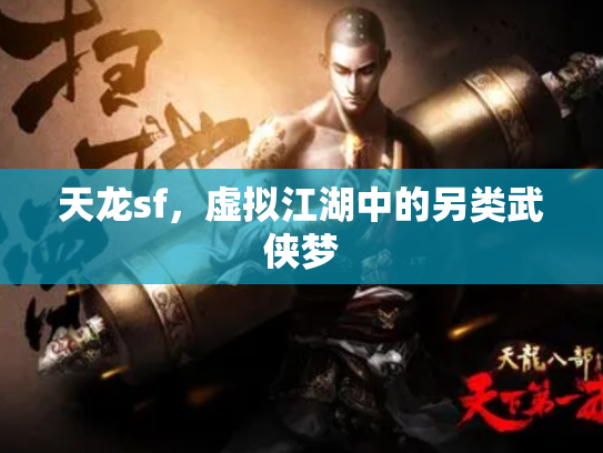天龙sf，虚拟江湖中的另类武侠梦