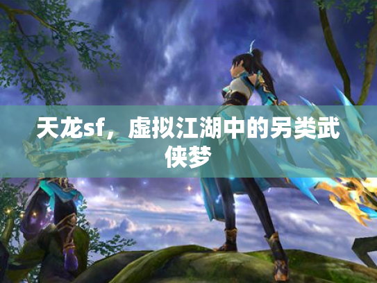 天龙sf，虚拟江湖中的另类武侠梦