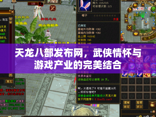 天龙八部发布网，武侠情怀与游戏产业的完美结合