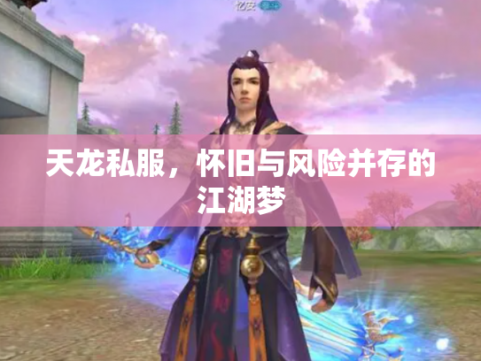 天龙私服，怀旧与风险并存的江湖梦