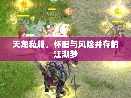 天龙私服，怀旧与风险并存的江湖梦