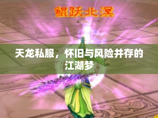 天龙私服，怀旧与风险并存的江湖梦