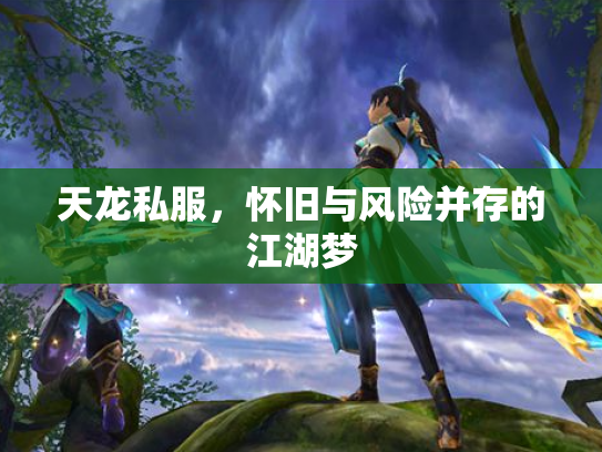 天龙私服，怀旧与风险并存的江湖梦