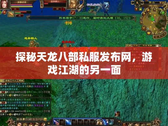 探秘天龙八部私服发布网，游戏江湖的另一面