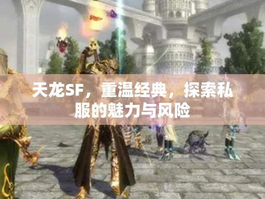 天龙SF，重温经典，探索私服的魅力与风险