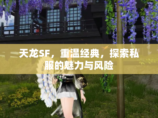 天龙SF，重温经典，探索私服的魅力与风险