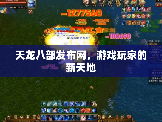 天龙八部发布网，游戏玩家的新天地