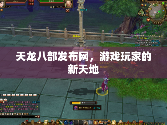 天龙八部发布网，游戏玩家的新天地