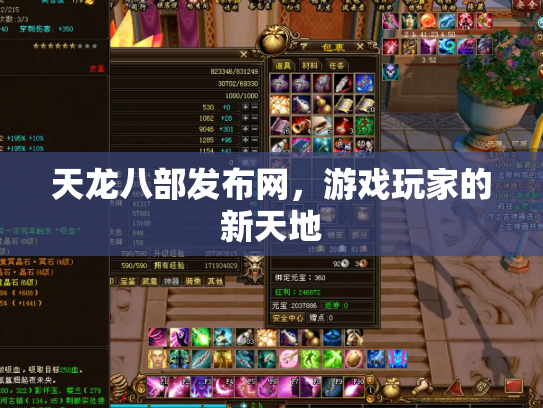 天龙八部发布网，游戏玩家的新天地