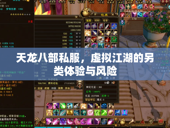 天龙八部私服，虚拟江湖的另类体验与风险