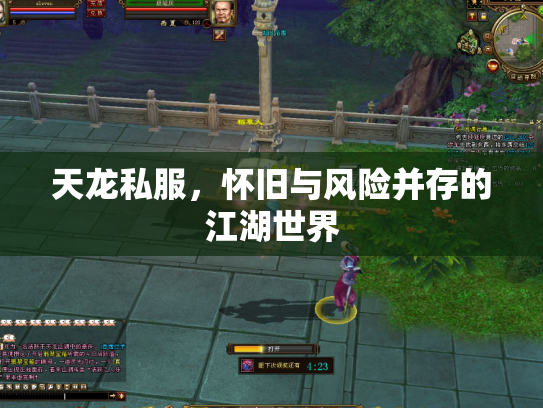 天龙私服，怀旧与风险并存的江湖世界
