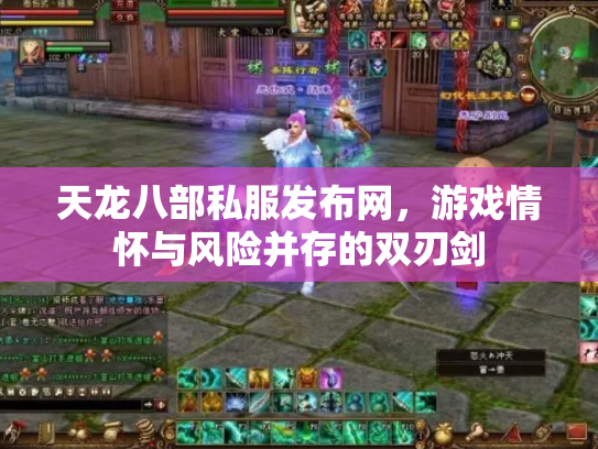 天龙八部私服发布网，游戏情怀与风险并存的双刃剑
