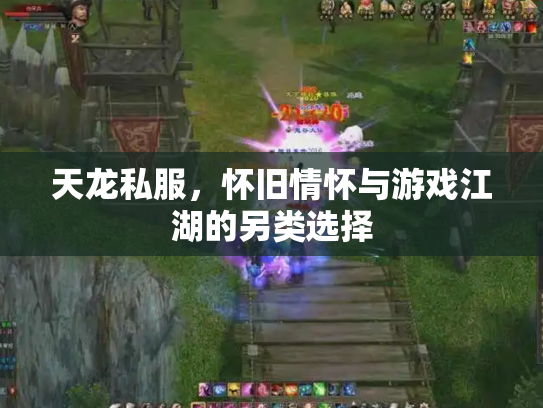 天龙私服，怀旧情怀与游戏江湖的另类选择