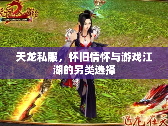 天龙私服，怀旧情怀与游戏江湖的另类选择