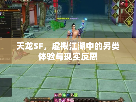天龙SF，虚拟江湖中的另类体验与现实反思