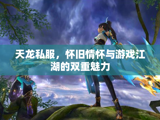 天龙私服，怀旧情怀与游戏江湖的双重魅力