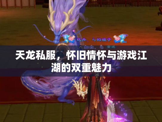 天龙私服，怀旧情怀与游戏江湖的双重魅力