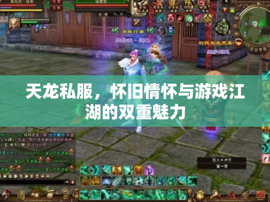 天龙私服，怀旧情怀与游戏江湖的双重魅力