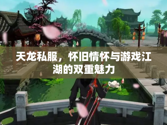 天龙私服，怀旧情怀与游戏江湖的双重魅力