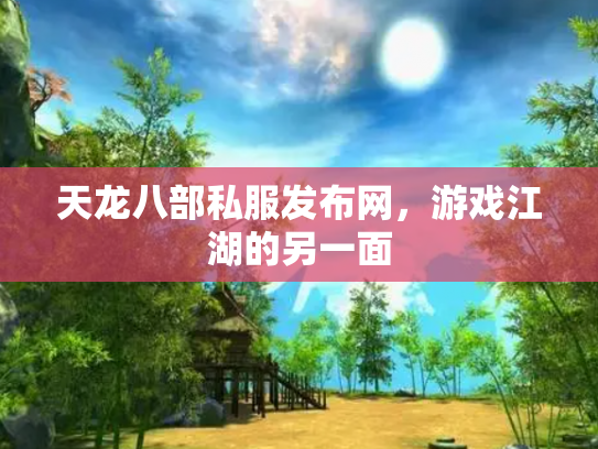 天龙八部私服发布网，游戏江湖的另一面