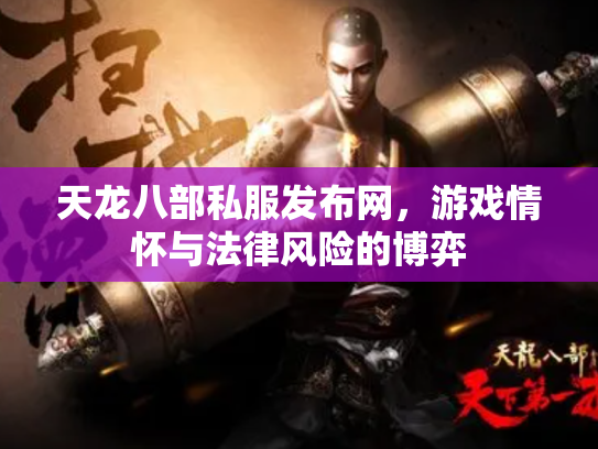 天龙八部私服发布网，游戏情怀与法律风险的博弈