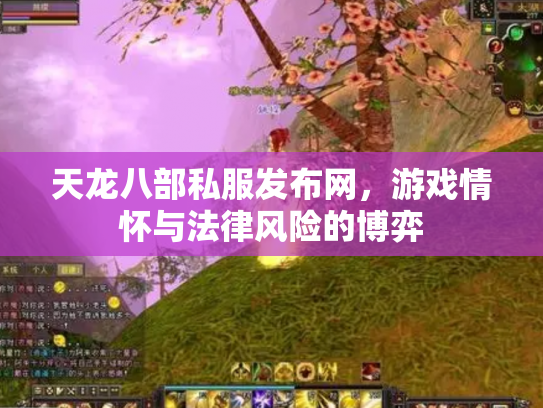 天龙八部私服发布网，游戏情怀与法律风险的博弈